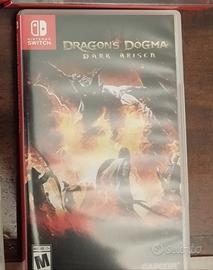 Dragon's dogma switch