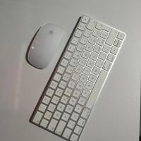 Magic mouse e magic keyboard APPLE