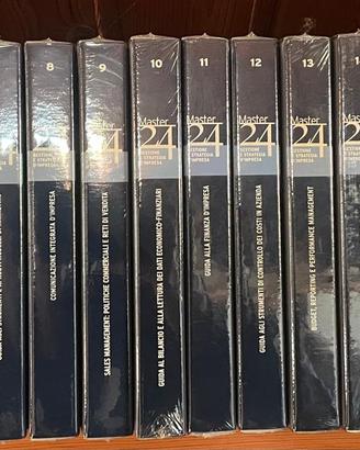 Master 24 – Gestione e Strategia d’Impresa