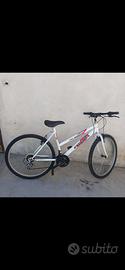 bici bianca