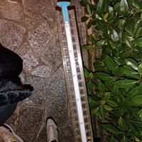  taglia erba, taglia siepe, decespugliatore 