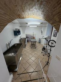 Gestione toelettatura animali