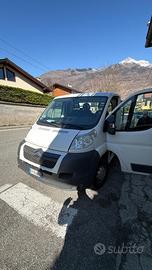 citroen jumper cassonato