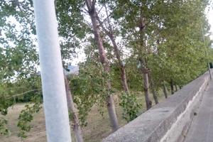 Terreno da privato edificabile con capannone