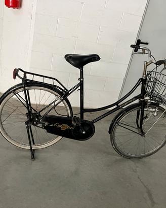 Bicicletta con le ruote da D24 pollicy