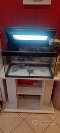 Acquario 50 L