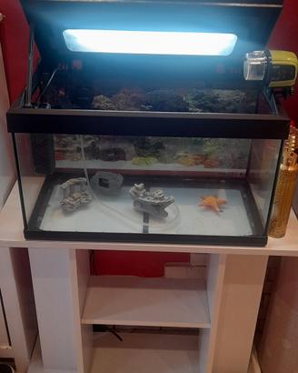 Acquario 50 L