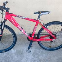 bici MTB  kardan