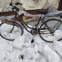 bicicletta bella epoque