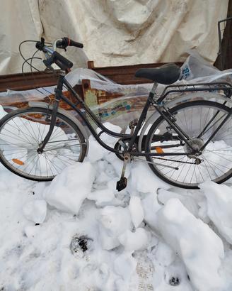 bicicletta bella epoque
