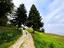 Immagine 24