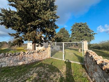 Trulli e terreno