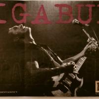 biglietto Luciano Ligabue buon compleanno Elvis 96