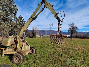 Ragno Colto e Maragno 