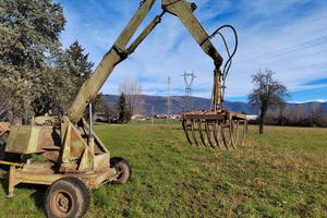 Ragno Colto e Maragno 