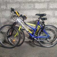 2 biciclette mountain bike