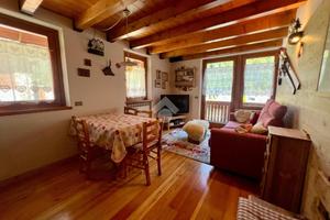 3 LOCALI A PONTE DI LEGNO