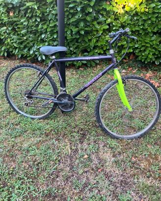Bicicletta uomo