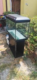 acquario più accessori