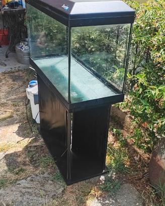 acquario più accessori