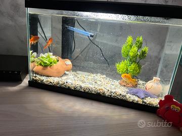 Acquario da 17 Litri