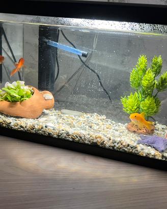 Acquario da 17 Litri