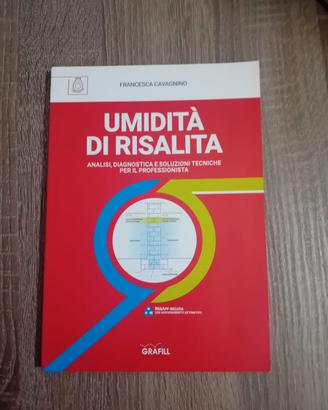 UMIDITA' DI RISALITA