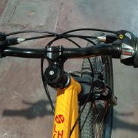 MTB Scoot Voltage 24