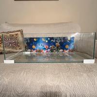 Acquario