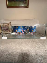 Acquario