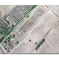 Terreno agricolo bambuseto San Cataldo Lecce,