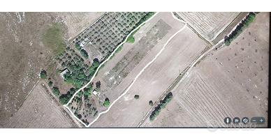 Terreno agricolo bambuseto San Cataldo Lecce,