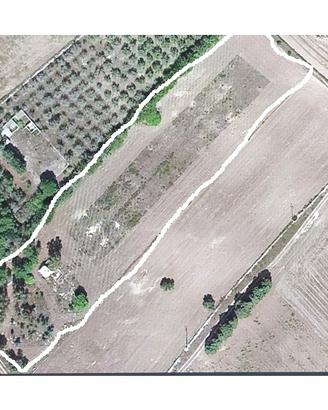 Terreno agricolo bambuseto San Cataldo Lecce,