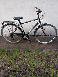 bicicletta city bike