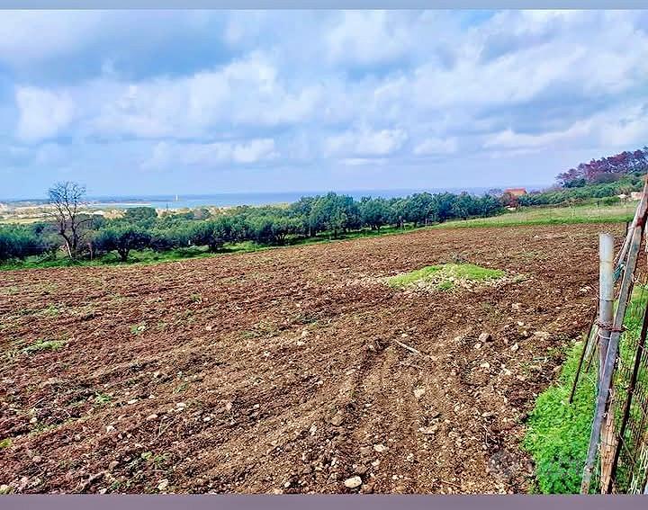 lotto di Terreno san vito lo capo . - Vista 4