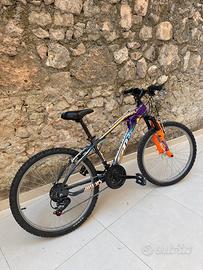 Bici SMP MOUNTAIN