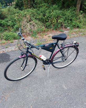 Bici Bottecchia citybike