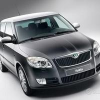 Ricambi auto Skoda fabia Roomster dal 2007