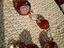 Immagine 6