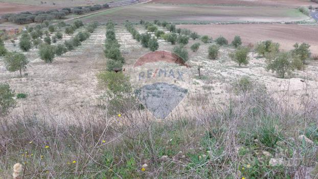 Terreno - Licodia Eubea