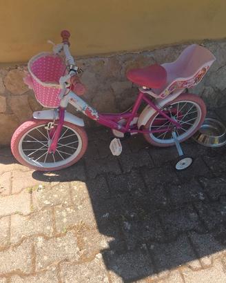Bicicletta