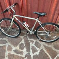 Specialized