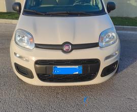 FIAT Panda 3ª serie - 2016