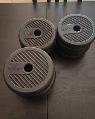 Set di manubri componibili 20kg totali