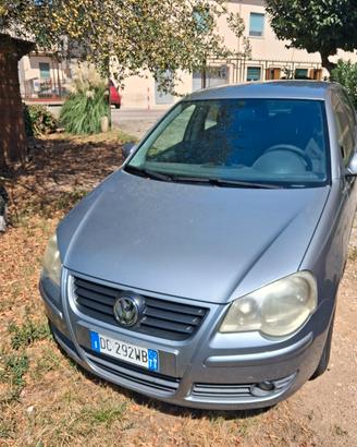 Polo usata