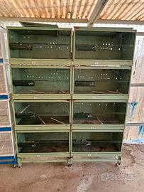 BATTERIA CHILLON 8 FORI