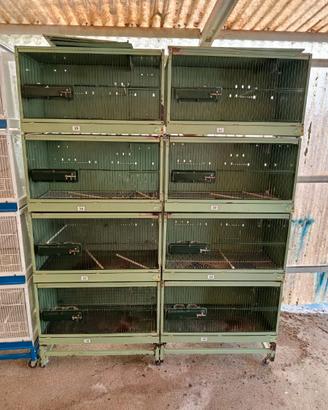 BATTERIA CHILLON 8 FORI