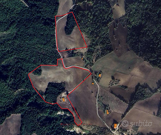 Dispongo terreno agricolo