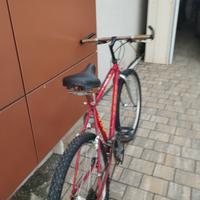 bici mtb