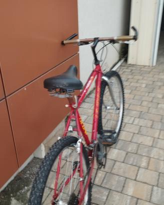 bici mtb